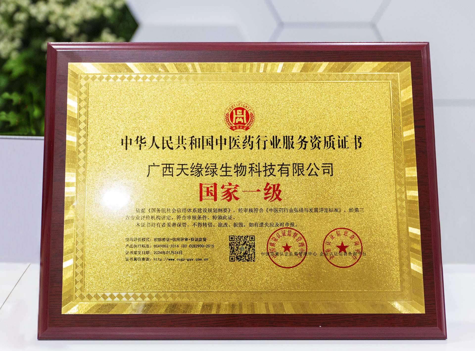 2024年-天緣綠集團(tuán)榮譽(yù)